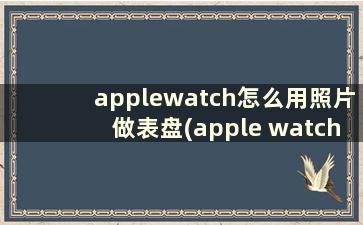 applewatch怎么用照片做表盘(apple watch用照片做表盘)